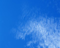 ０２６：青空 鰯雲