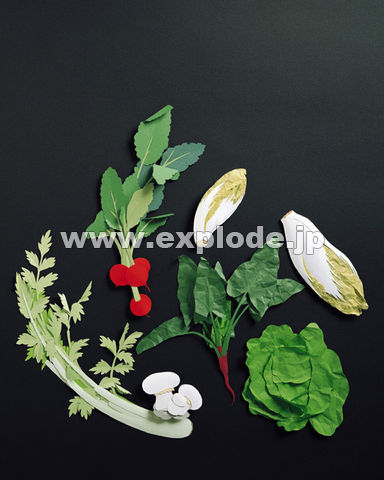 �O�X�P�F���