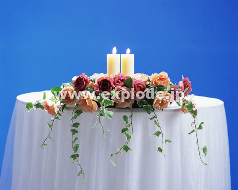 �O�W�V�F�u���C�_���L�����h��