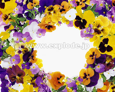 012�F�@�t�@�O�F�X�~��