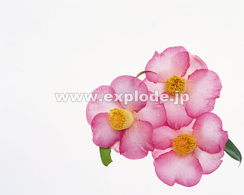 087�F�@�~�@��