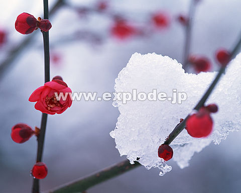 �� �E��