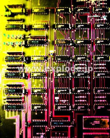 �O�R�O�F �v�����g���