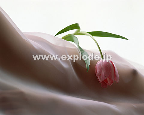 �o�X�g �� �� ���� �k�[�h