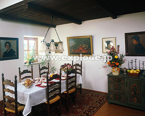 �C���e���A �_�C�j���O���[��