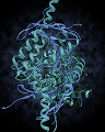 017: 蛋白の高次構造(α-ヘリックスとβ-シート構造)イメージ