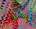 018: 生体内の蛋白(αヘリックス構造)イメージ