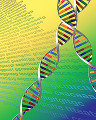 028: DNAの塩基配列図イメージ