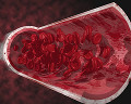 041: 血液中のヘモグロビンのイメージ