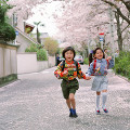 桜 男の子 女の子