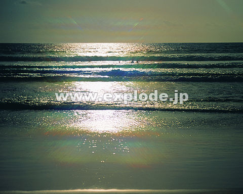 039�F �C �g ������ ��