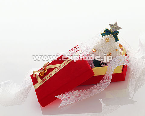 �N���X�}�X�c���[ �v���[���g ���[�X�̃��{��
