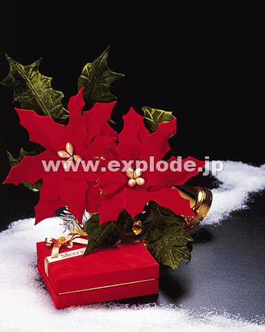�v���[���g �q�C���M �x�� ��