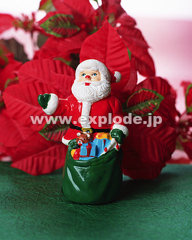 �t�����[�A�����W�����g �T���^�N���[�X �|�C���Z�`�A