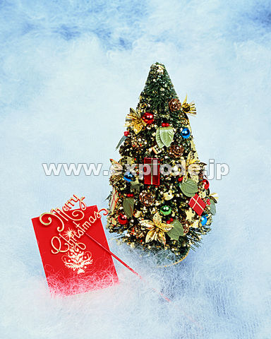 �N���X�}�X�c���[ �����[�N���X�}�X ��