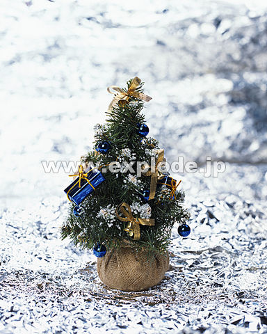�N���X�}�X�c���[