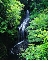 040：　新緑　滝　京都府北桑田郡京北町 滝又の滝