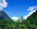 070：　木々　谷間　長野県南安曇郡安曇村 上高地