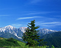 071：　木々　山　長野県北安曇郡白馬村 白馬三山（白馬岳　杓子岳　鑓ケ