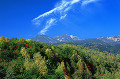 072：　木々　山　長野県北安曇郡 乗鞍岳