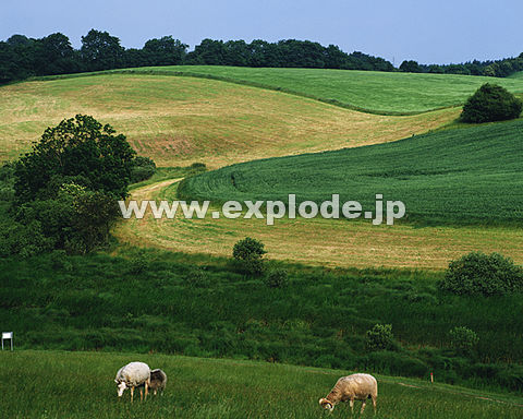 019F@f}[N@VF@C
