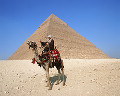 079：　エジプト　ギザ　ピラミッド　ラクダ　メンフィスとその墓地遺跡