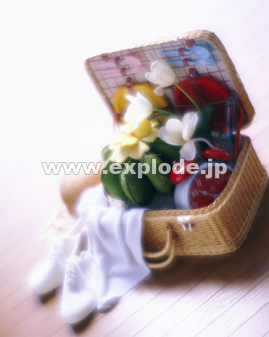 �g�����N �r ���v ��