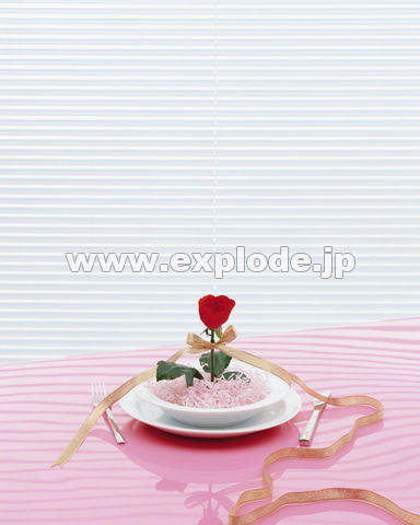 �o�� �t�H�[�N �i�C�t �M ���{��