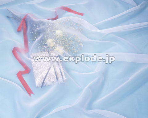�v���[���g �u�[�P �o�� ���[�X ���{��