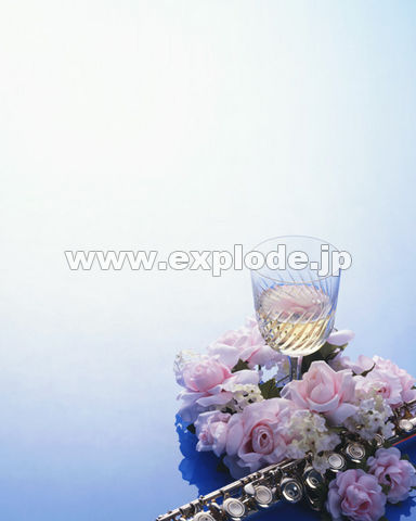 ���C���O���X �t���[�g �o��