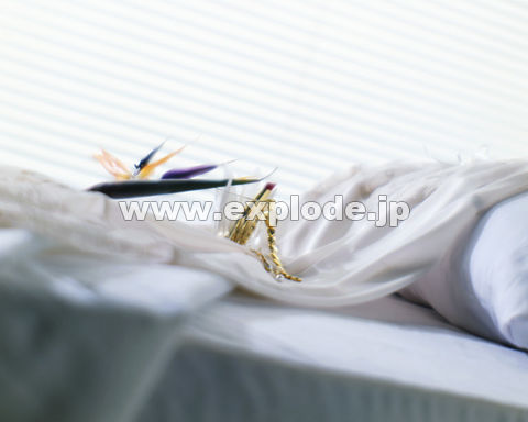 �x�b�h ���g �r���v �C�������O �O���X �X�g���C�`�A ���[�X�̉���