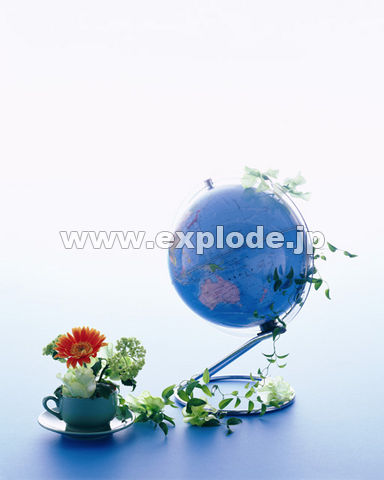 �n���V �e�B�[�J�b�v ��