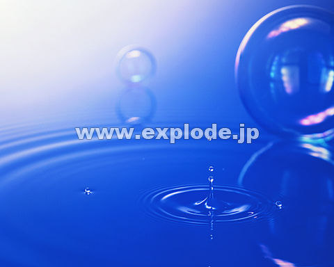008�F�@�g��@���H�@�V���{����