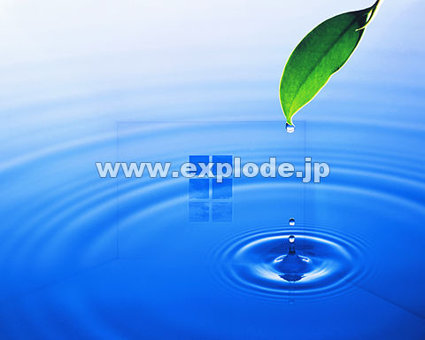 021�F�@�g��@���H�@�t�@�C���e���A�@��