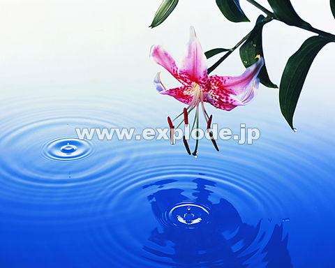 030�F�@�g��@���H�@��
