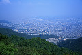 057：　神戸　摩耶山より大阪方面望む