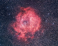 宇宙 バラ星雲