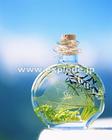 �h���C�t�����[ ���� �{�g�� �R���N