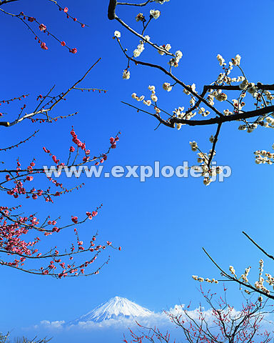 012�F�@�É����@�x�m�s�@�~�@3��