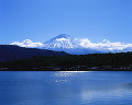 037：　山梨県　足和田村　西湖　7月