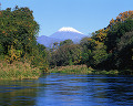 062：　静岡県　清水町　柿田川　12月