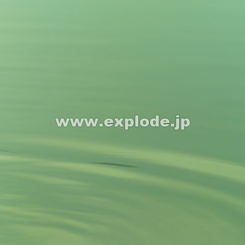 006�F�@���@�g��