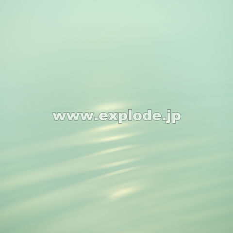 016�F�@���@�g��ւ̉f�荞��