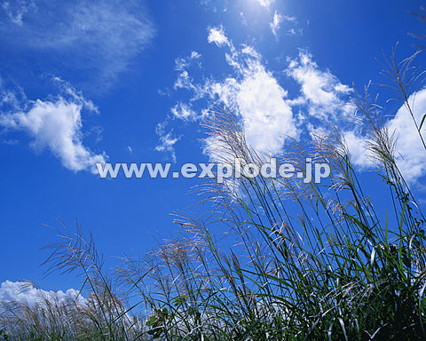 092�F�@�É����@��a��s�@�X�X�L