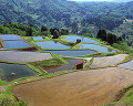 010：　新潟県　山古志村