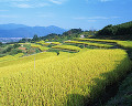 025：　長野県　姥捨