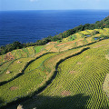 034：　山口県　油谷町