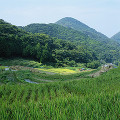 035：　静岡県　松崎町