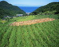 036：　静岡県　松崎町