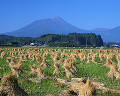 038：　宮崎県　高千穂峰